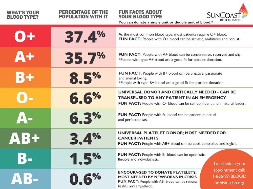 Most Common Blood Type Ratmyte   Right Type Right Time Poster 3c00e47b 